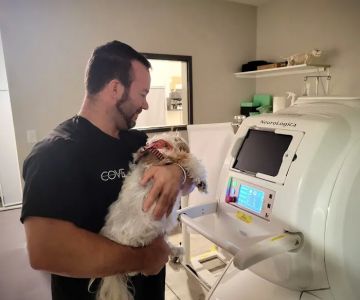 COVE Center of Veterinary Excellence