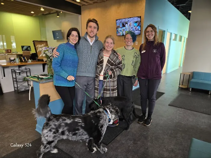 Shelter Bay Animal Hospital 8