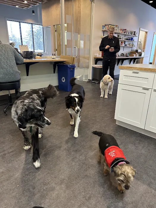 Shelter Bay Animal Hospital 5