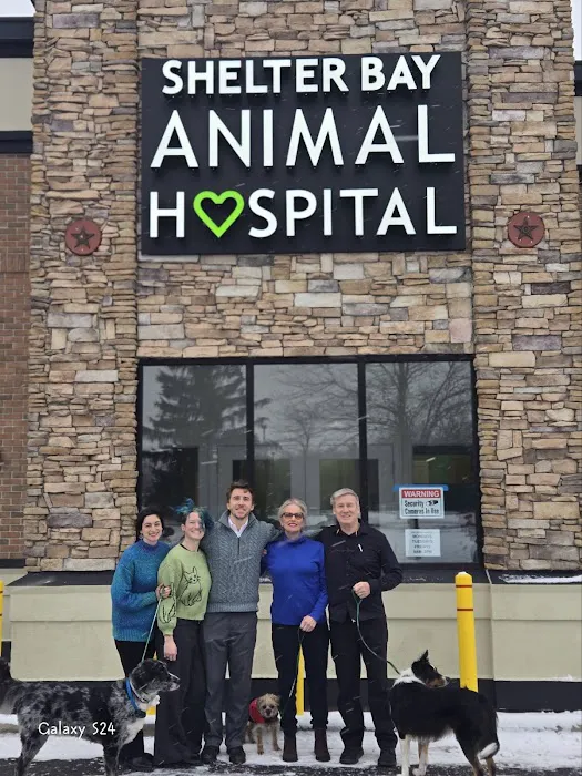 Shelter Bay Animal Hospital 3