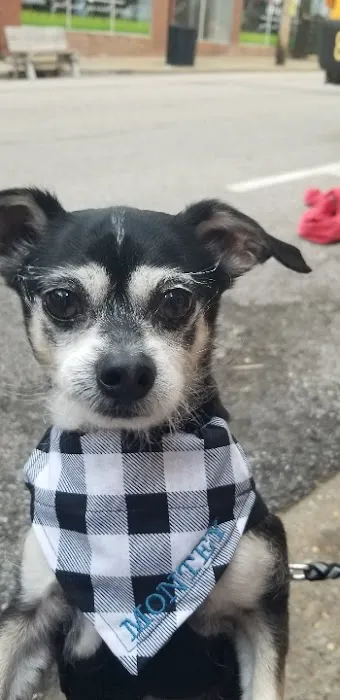 New Haven Veterinary Hospital 9