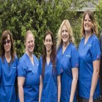 Erz Animal Hospital ico