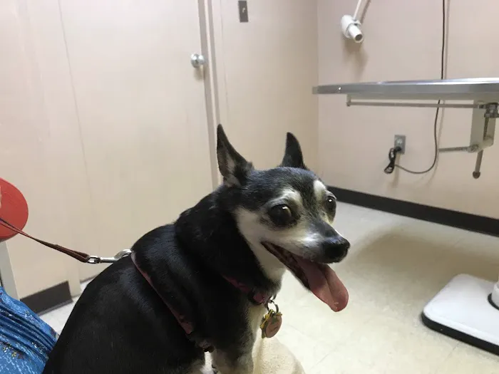 Erz Animal Hospital 5