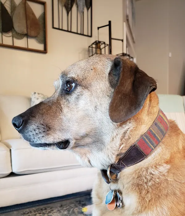 Quail Pointe Veterinary Hospital 10