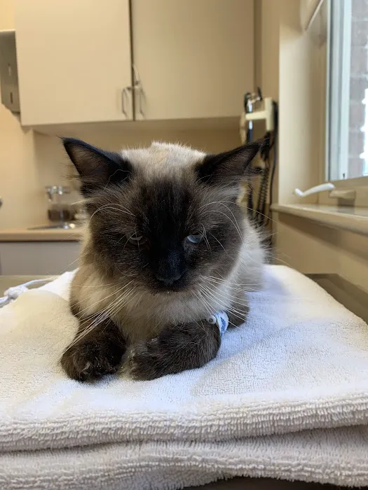 Quail Pointe Veterinary Hospital 2