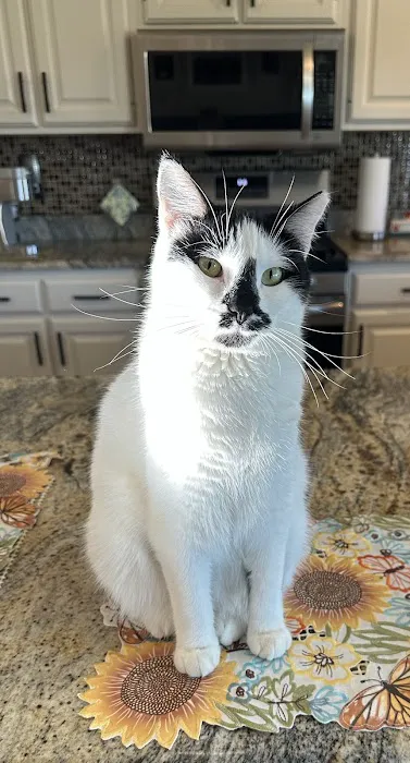 Quail Pointe Veterinary Hospital 7