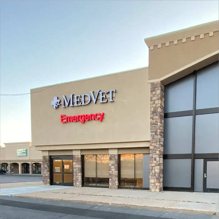 MedVet Northern Utah 10