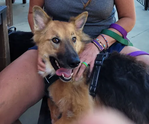 Canyon Ridge Animal Hospital 5