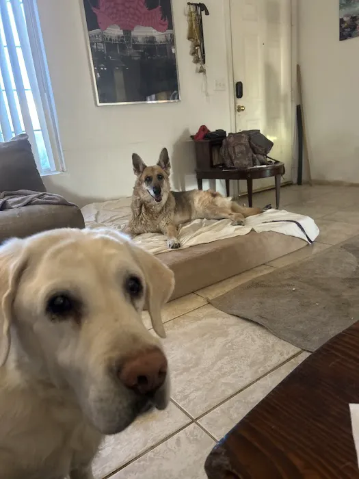 Canyon Ridge Animal Hospital 3