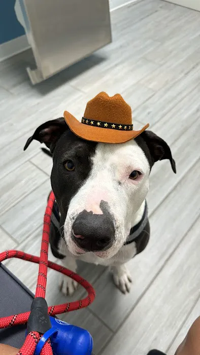 Canyon Ridge Animal Hospital 7