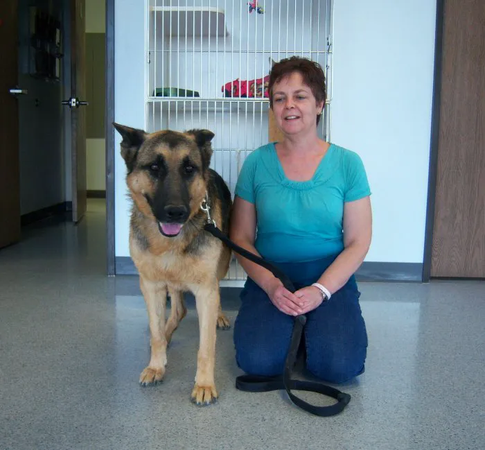 VCA Black Mountain Animal Hospital 9