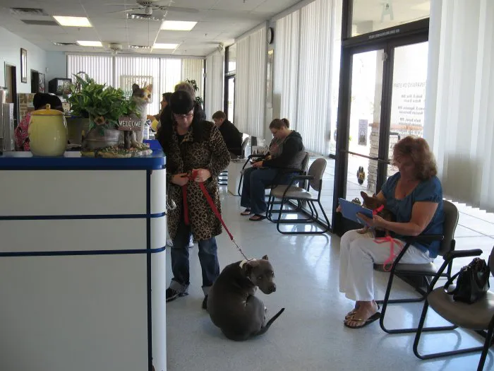 VCA Black Mountain Animal Hospital 5