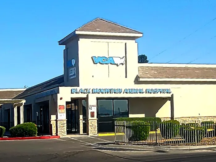 VCA Black Mountain Animal Hospital 1