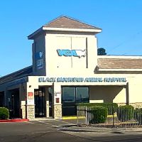 VCA Black Mountain Animal Hospital ico