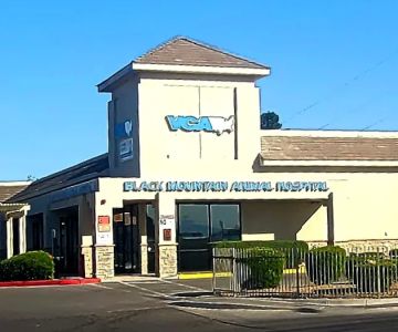 VCA Black Mountain Animal Hospital