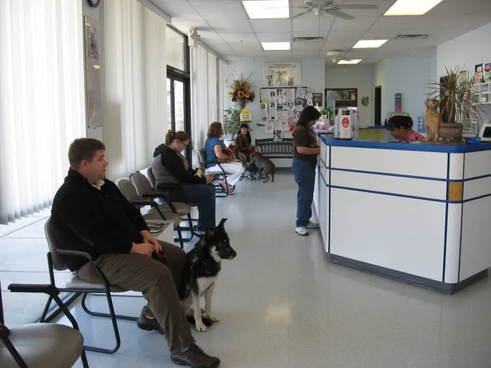 VCA Black Mountain Animal Hospital 4