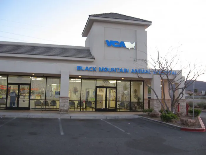 VCA Black Mountain Animal Hospital 8
