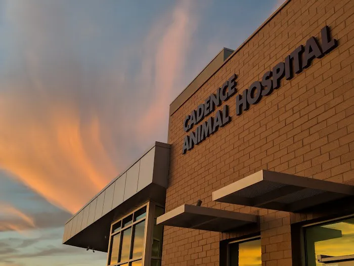 Cadence Animal Hospital 1