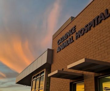 Cadence Animal Hospital