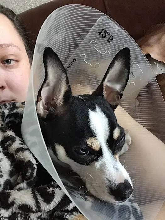 Cadence Animal Hospital 9