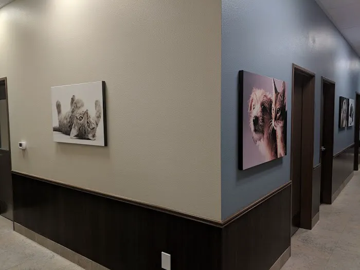 Cadence Animal Hospital 2