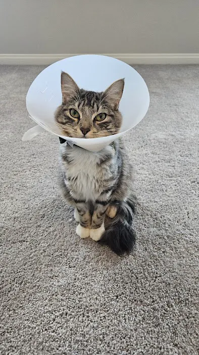 Cadence Animal Hospital 3