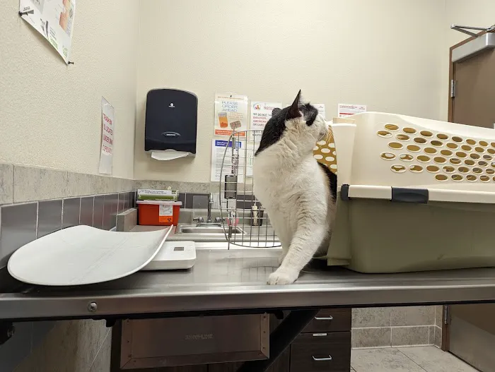 Cadence Animal Hospital 4