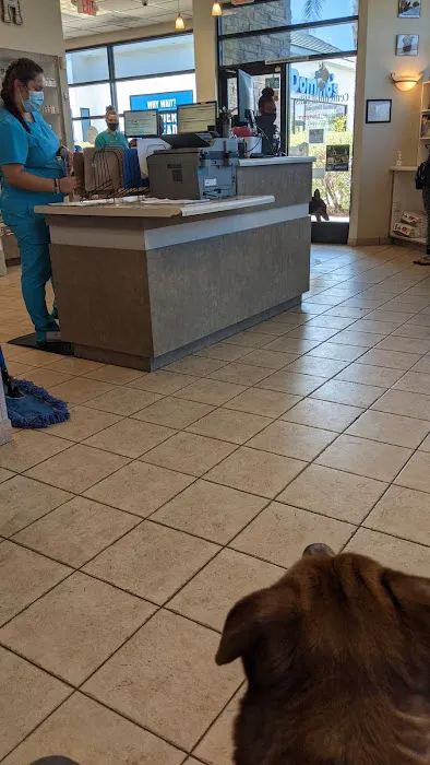 Centennial Hills Animal Hospital - Amanda Davis, DVM 3