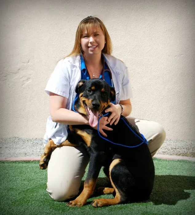 Centennial Hills Animal Hospital - Kimber Singer, DVM 9