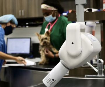 Providence Pet Hospital