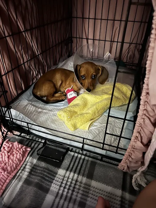 Providence Pet Hospital 10