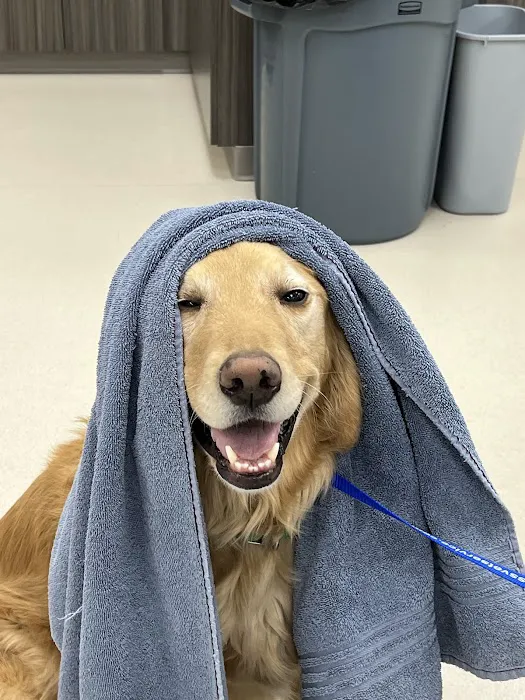 Providence Pet Hospital 6