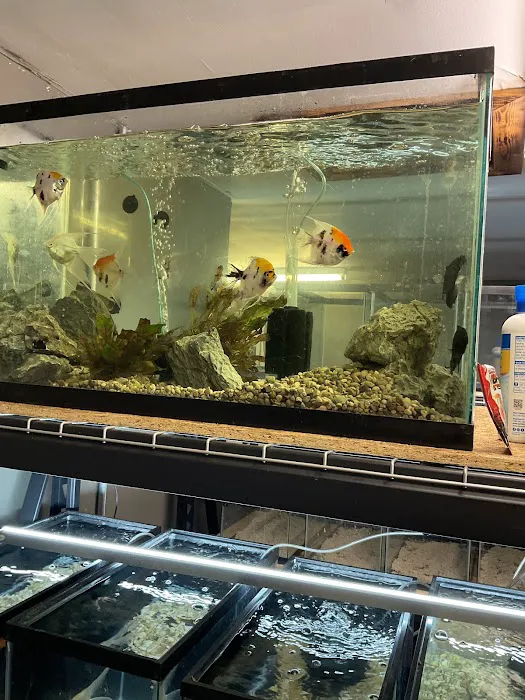 The Fish and Reptile Room 12