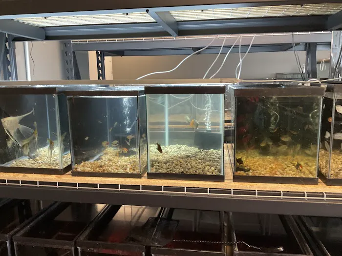 The Fish and Reptile Room 12