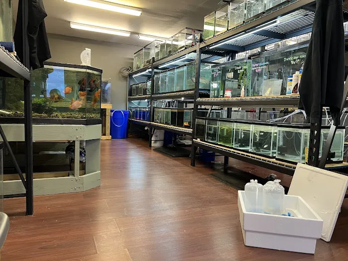 The Fish and Reptile Room 12