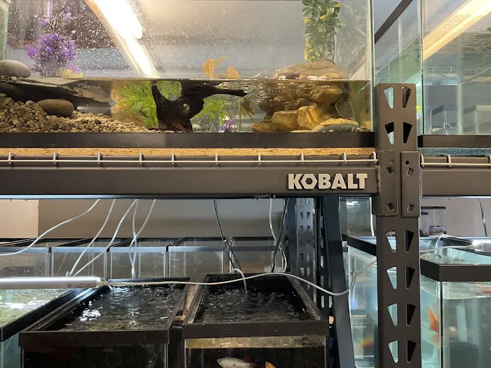 The Fish and Reptile Room 12