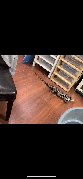 The Fish and Reptile Room 12