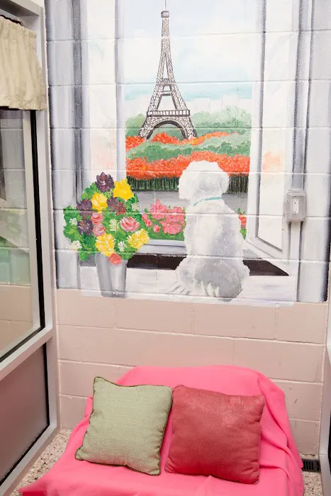 Bay Street Animal Hospital 8