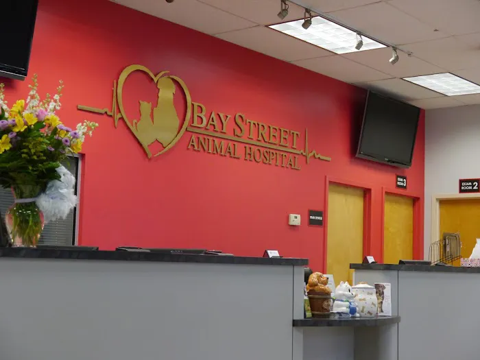 Bay Street Animal Hospital 10