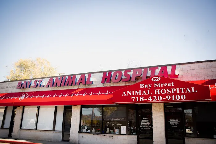 Bay Street Animal Hospital 6