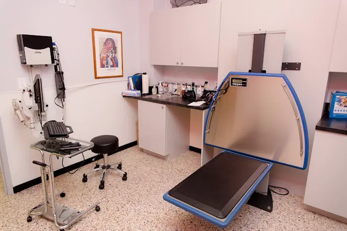 Bay Street Animal Hospital 7