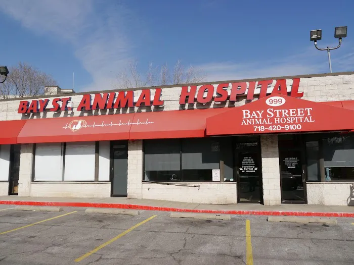 Bay Street Animal Hospital 4