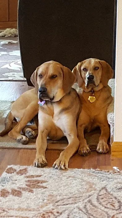 Southmarch Veterinary Hospital 9