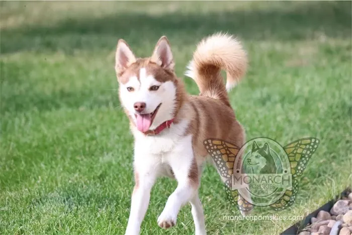 Full Circle Veterinary Care 1