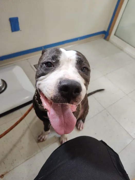 Full Circle Veterinary Care 9