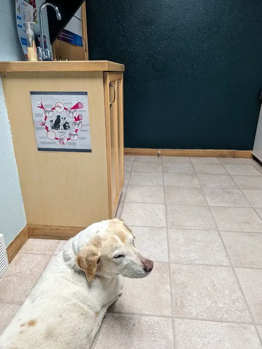 Full Circle Veterinary Care 7