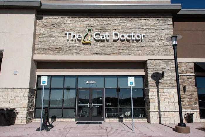 The Cat Doctor 8