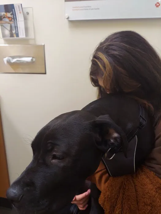 Banfield Pet Hospital 1