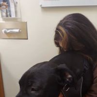 Banfield Pet Hospital ico