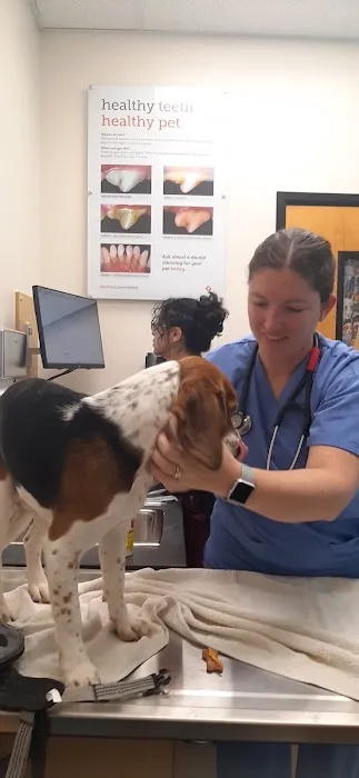 Banfield Pet Hospital 2